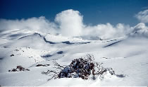 Fog Roling over the Main Range