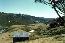 Pounds Creek Hut 1955/56