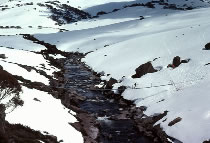 Illawong Bridge over the Snowy River