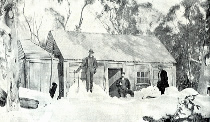 Old Hut on Buffalo Plateau