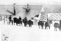 Horses at Hotham Heights
