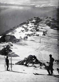 Evening Shadows at Hotham Heights