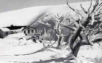Rebuilt Hotham Heights Chalet