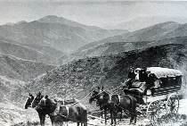 Coach near Mt. Hotham circa 1900