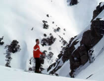 P2. Skier on Little Austria (below Lake Albina)